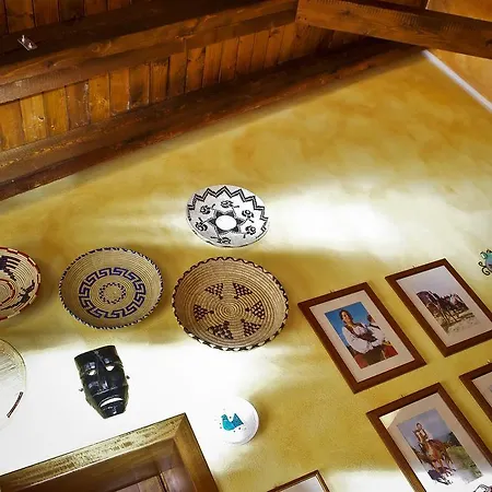 Spinalva * 페르푸가스