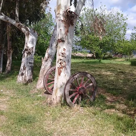 Spinalva 페르푸가스